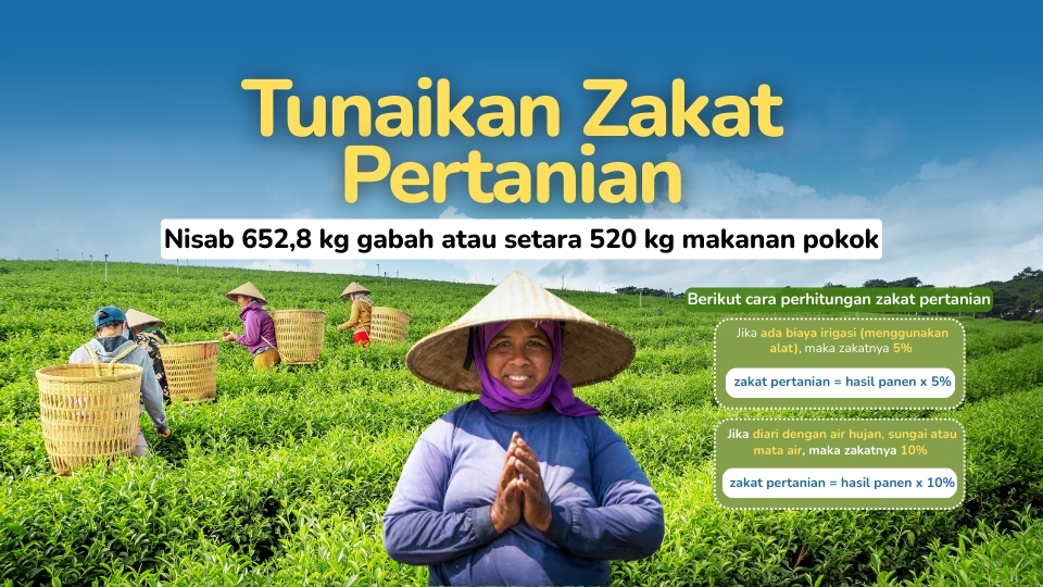 Zakat Pertanian